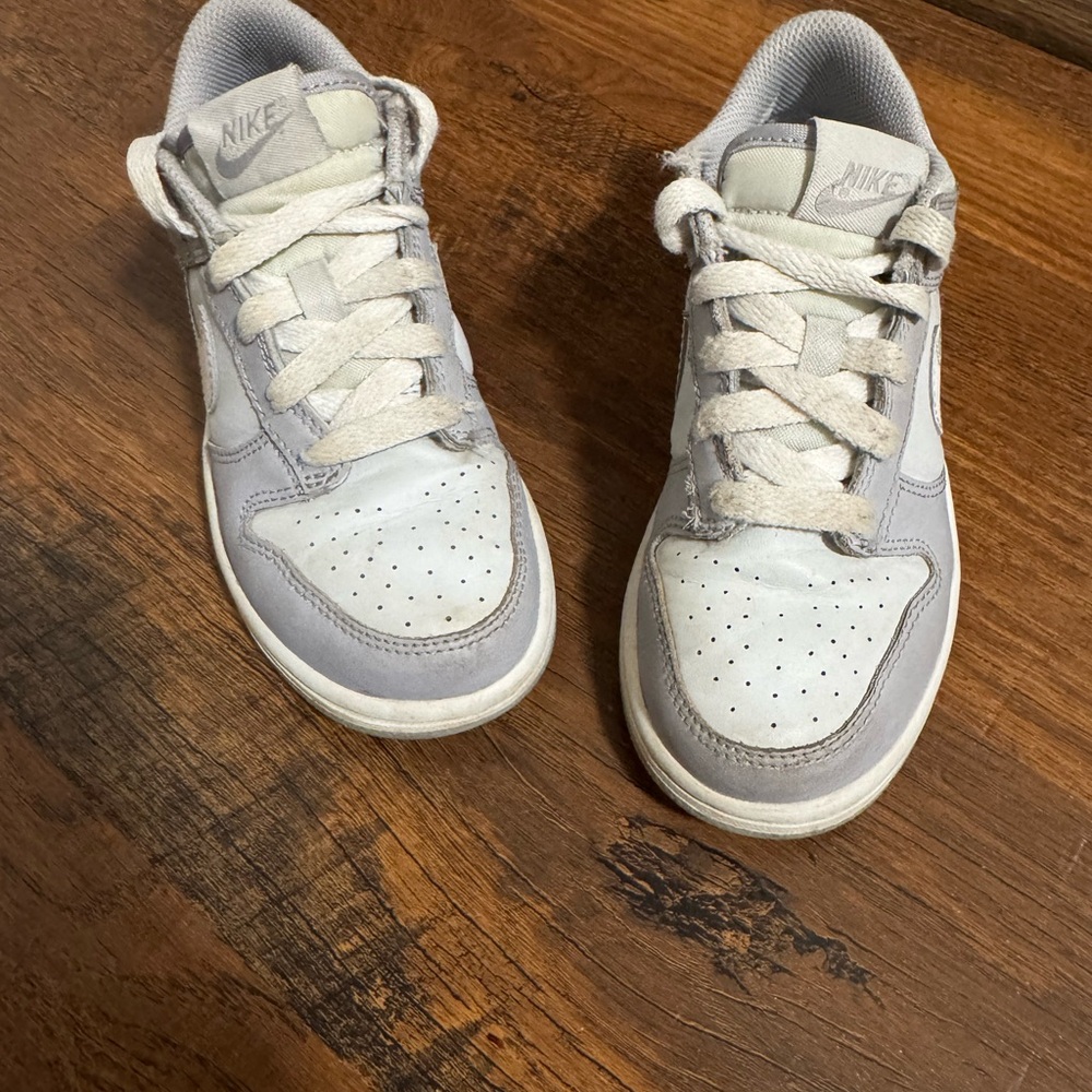 Nike Dunk Low kid sneakers
